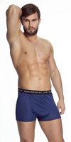 Jedwabne męskie bokserki Mewa 86083 Raphael